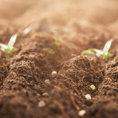Jord og gjødsel