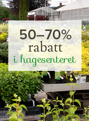 50-70 prosent rabatt i hagesenteret hos lier planteland