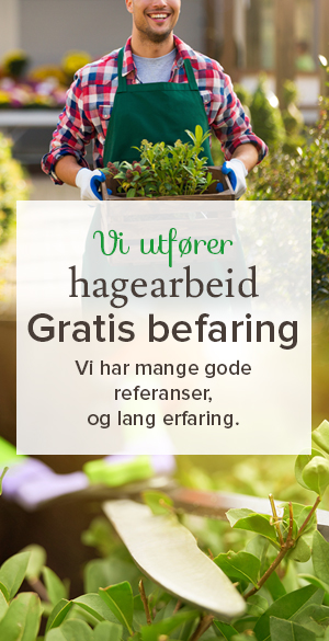 Lier Planteland utfører gratis hagearbeid hos deg