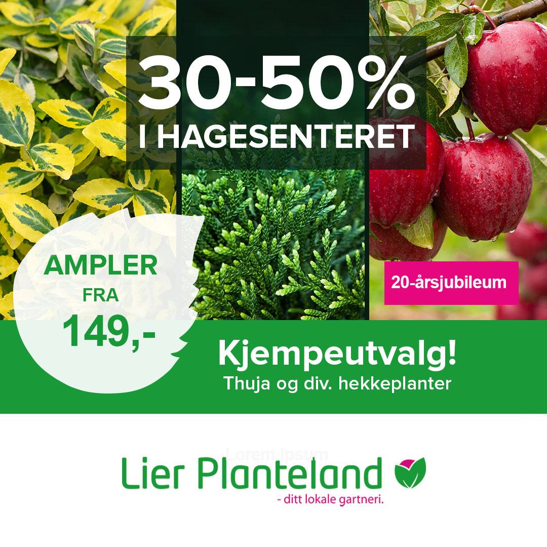 Sommersalg med 30-50 prosent hos hagesenteret til Lier Planteland 20 årsjubileum