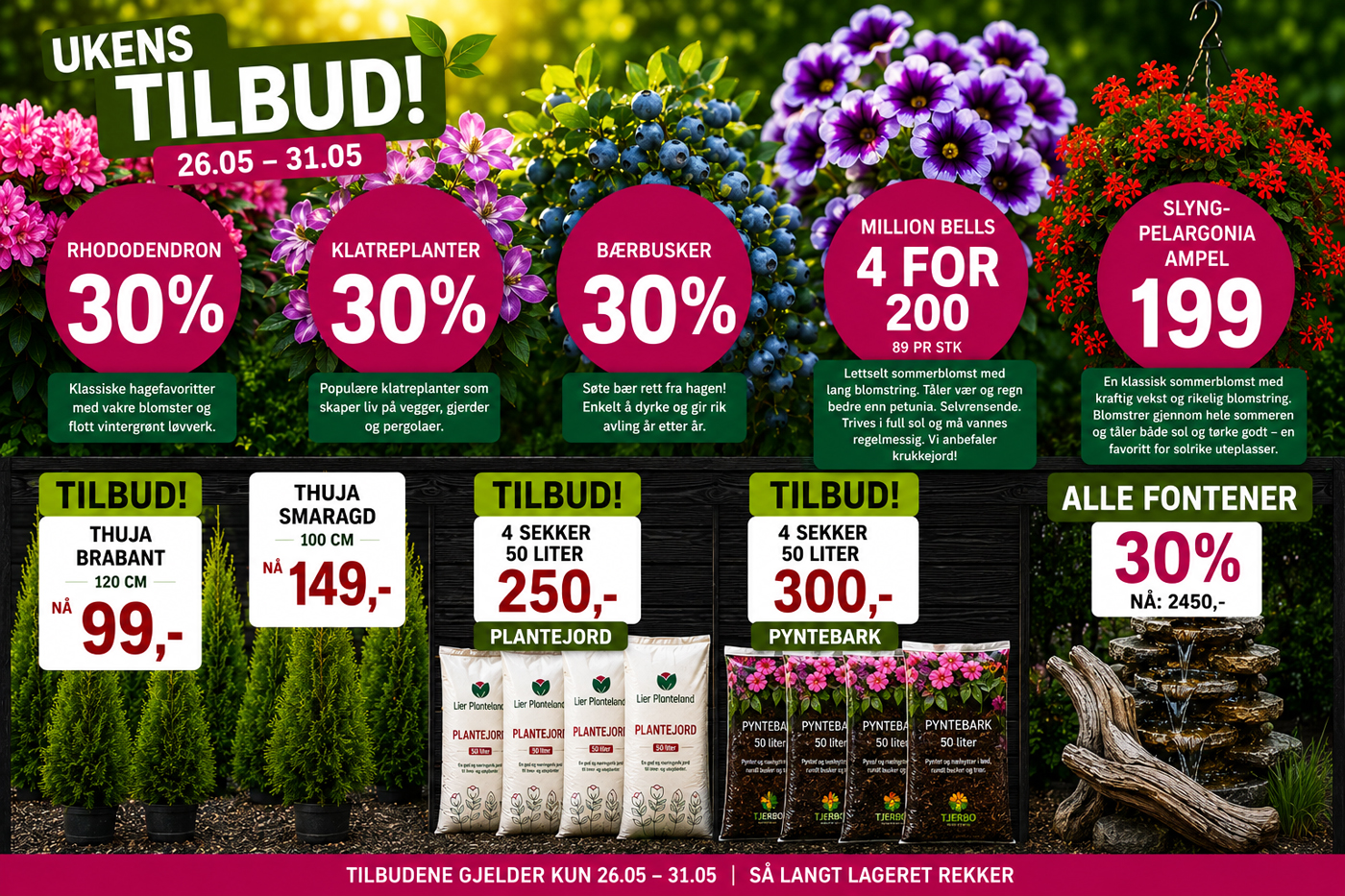 Lier planteland med ukens tilbud på blomster planter bærbusker ampler